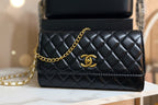 Inspire cc designer bag