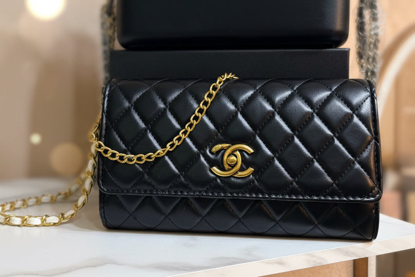 Inspire cc designer bag