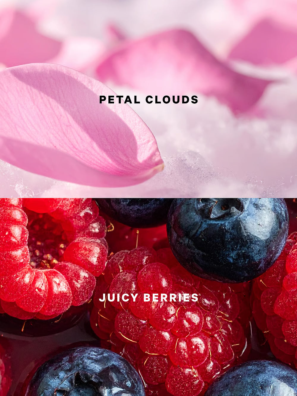 Glazed Petal & Berries VS