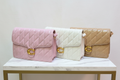 Coa,ch fancy bag